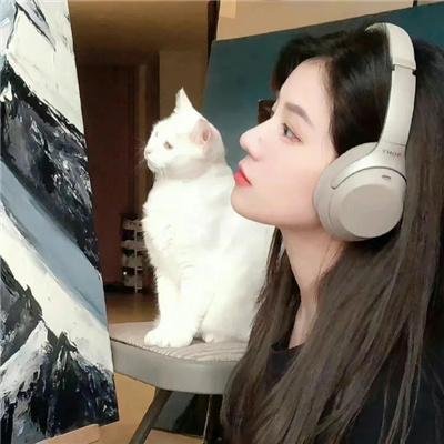 网路杀手
